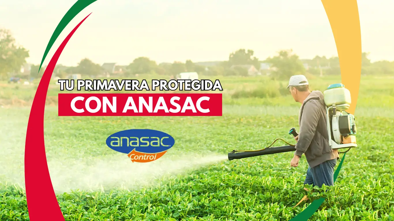 primavera-con-anasac